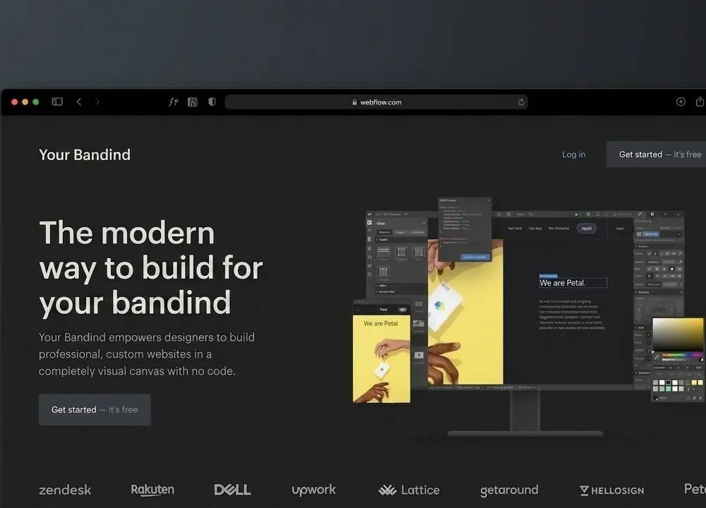 Website Development & Revamping Your Branding - Digital Marketing ZEO Focus
